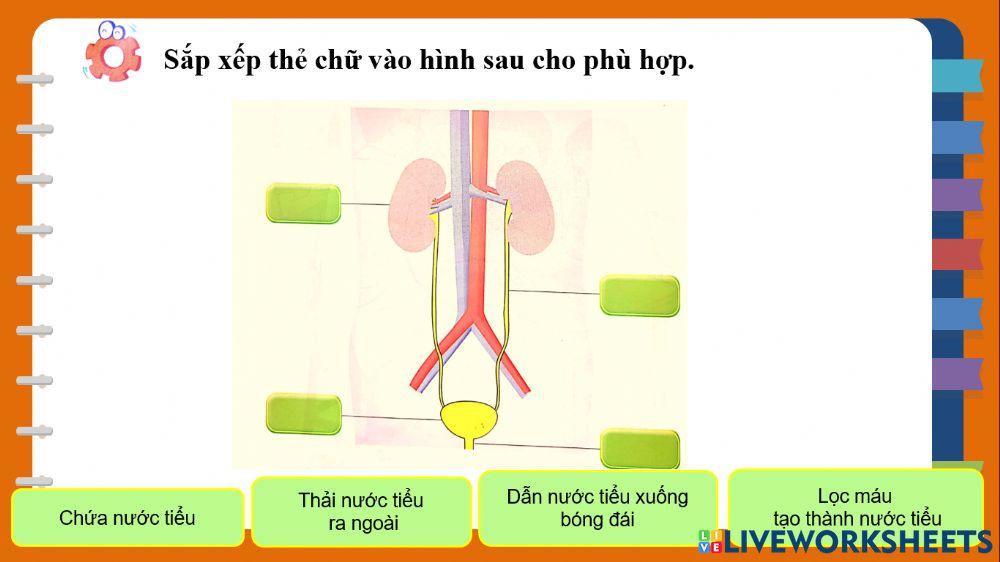 Bộ phận nào? Chức năng gì?