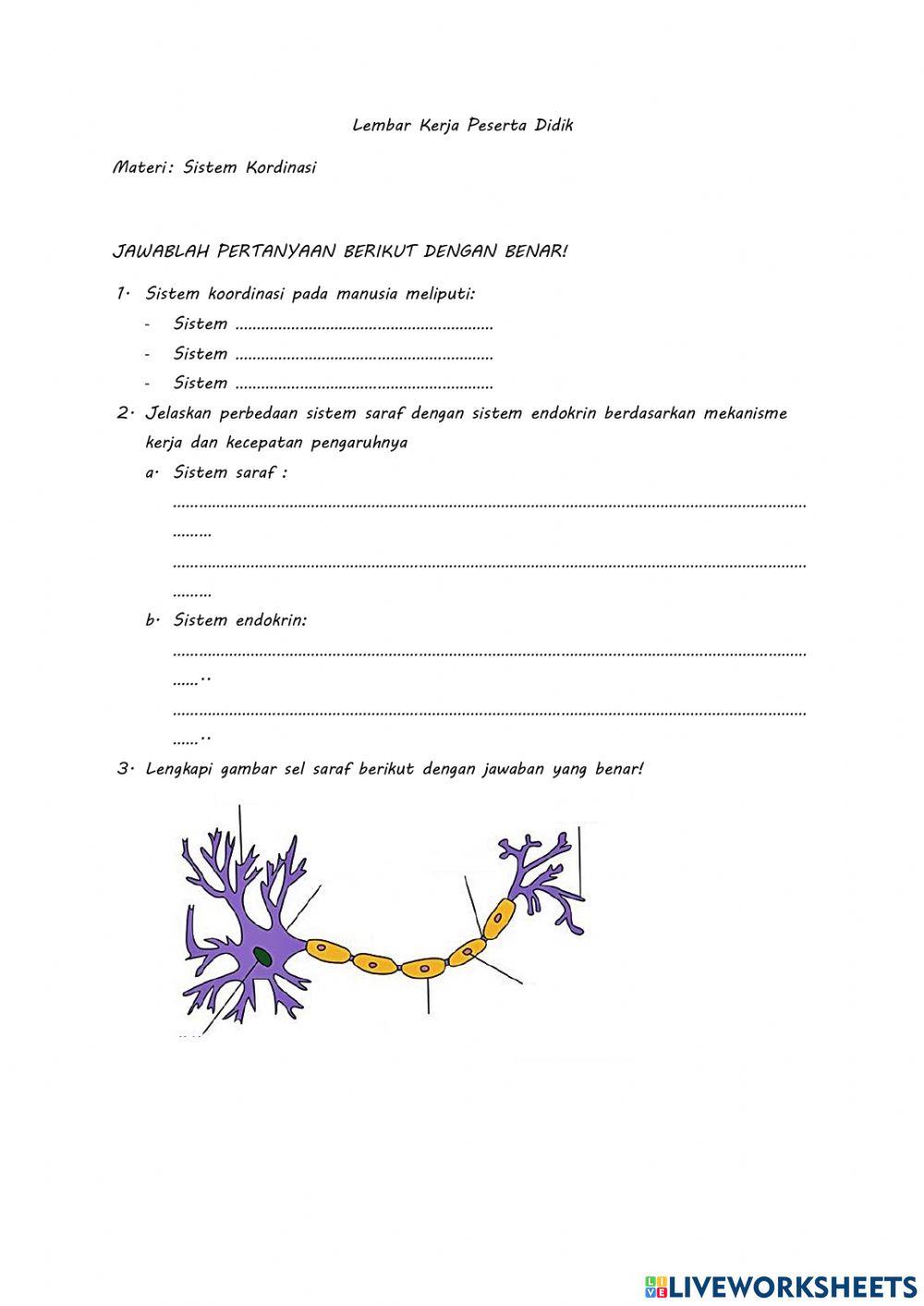 Lembar kerja peserta didik (LKPD) sistem regulasi