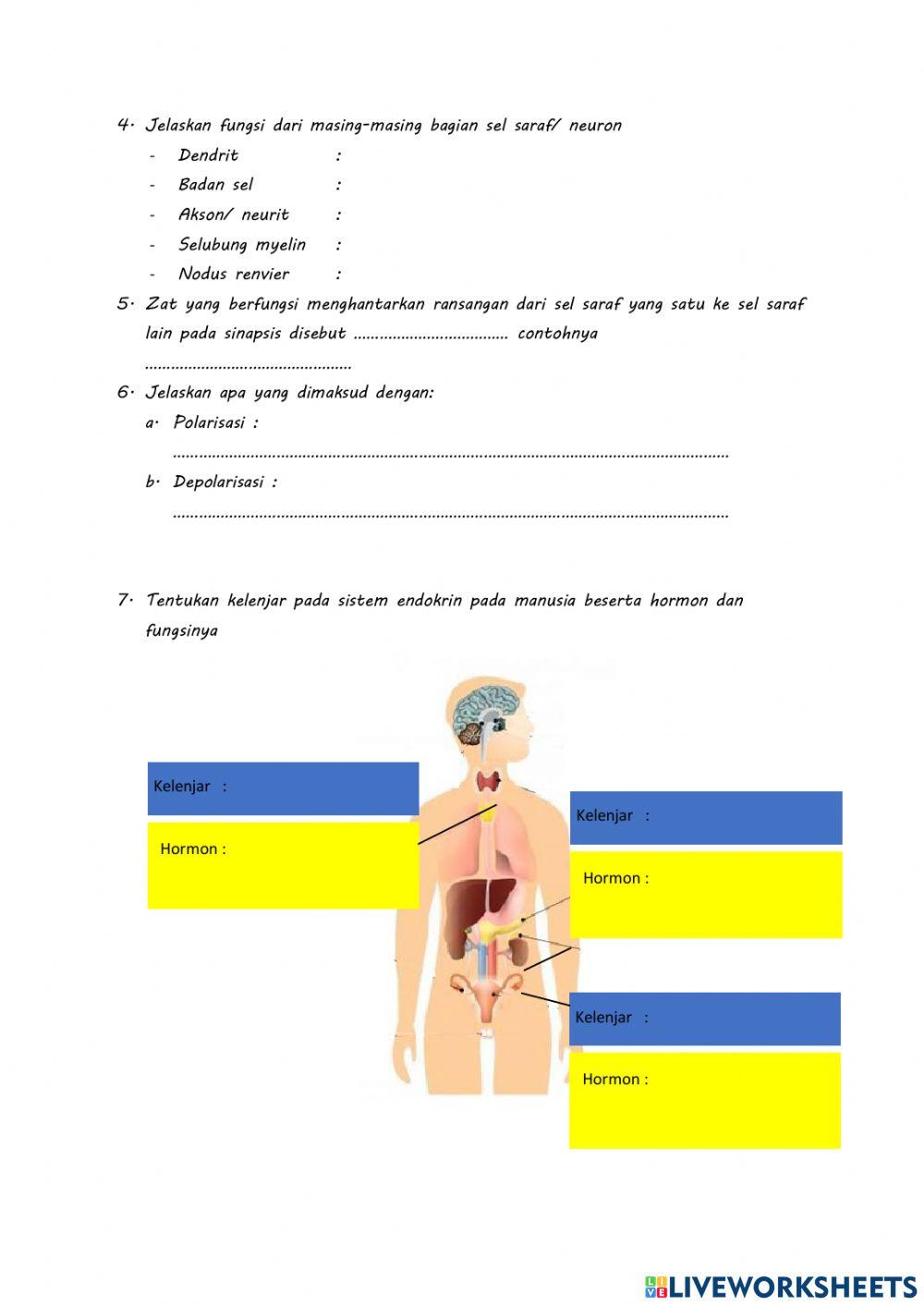 Lembar kerja peserta didik (LKPD) sistem regulasi