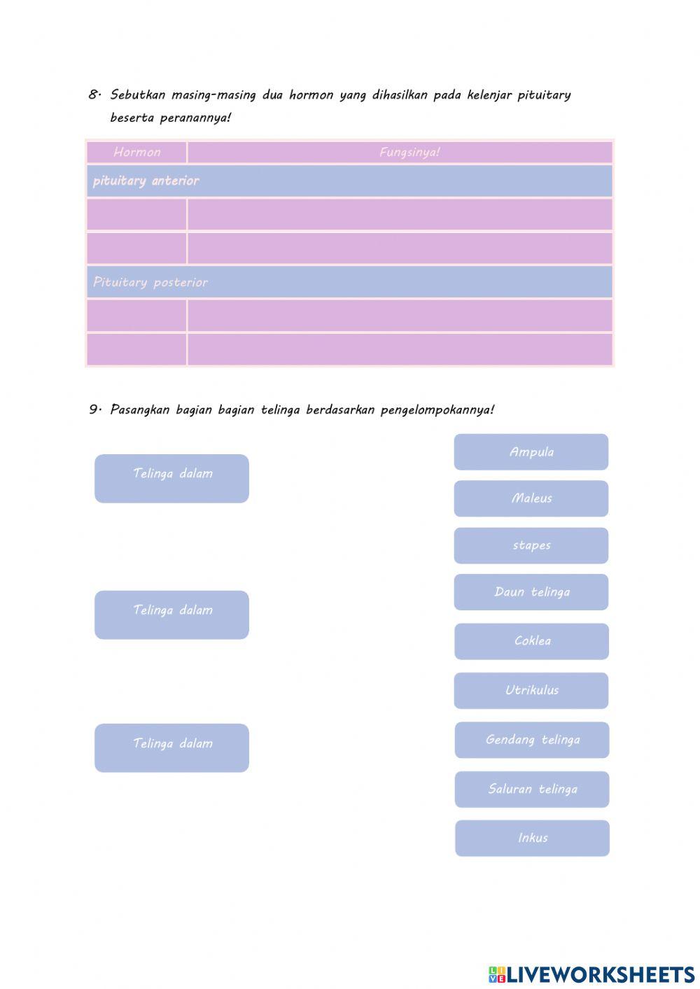 Lembar kerja peserta didik (LKPD) sistem regulasi