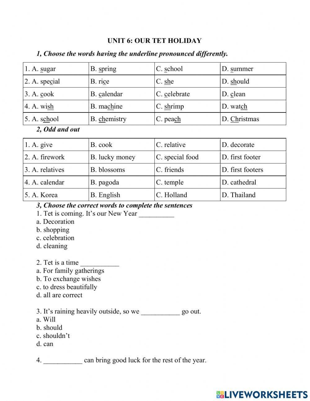 Unit 6 Our Tet holiday