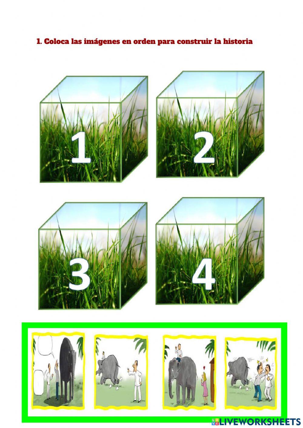 El elefante y su sombra