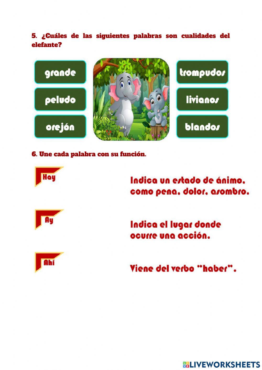 El elefante y su sombra