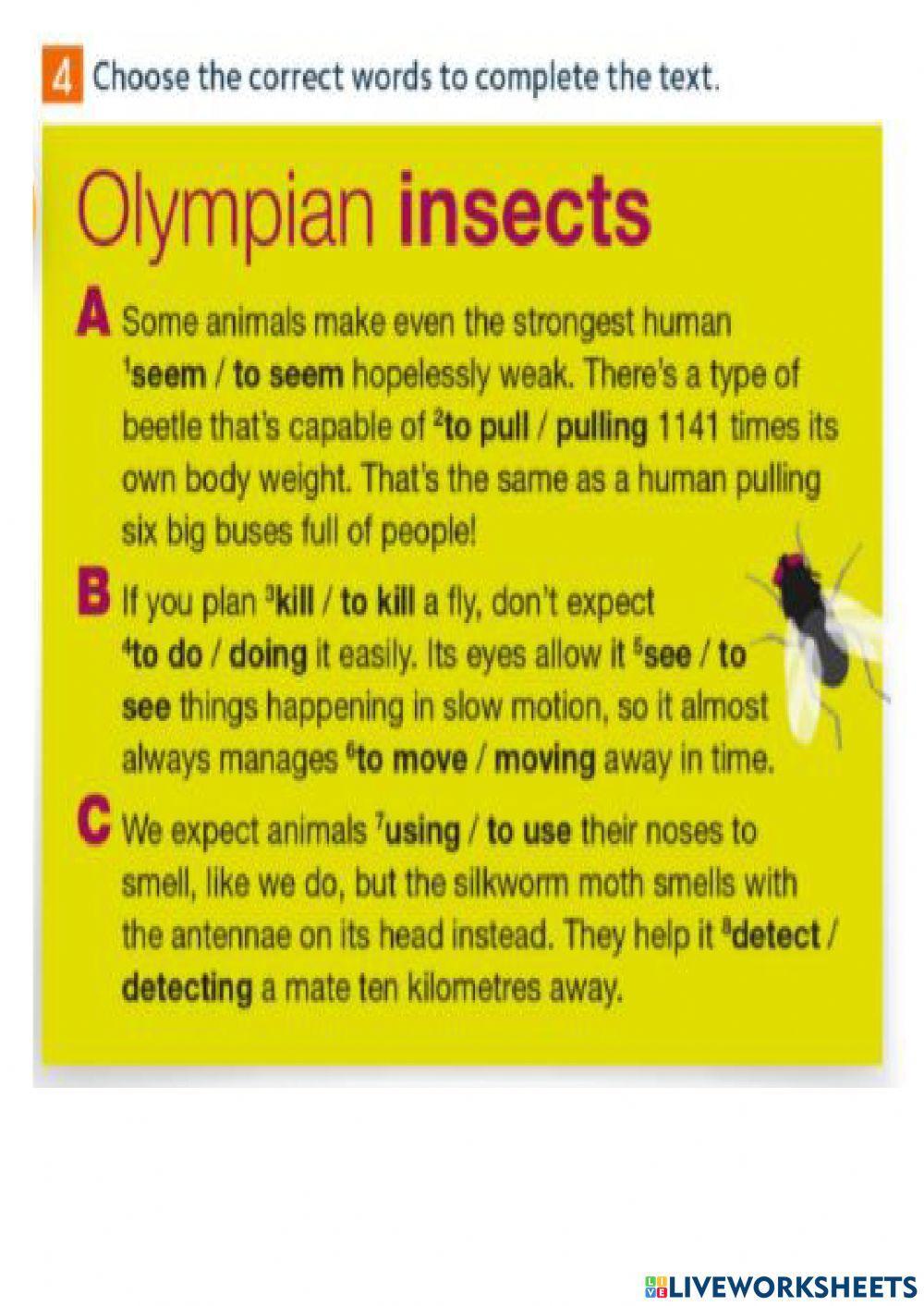 Infinitive and Ing forms