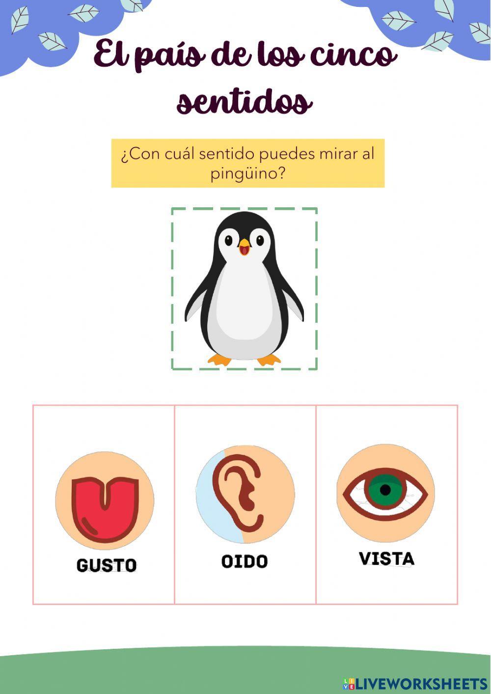 El país de los cinco sentidos