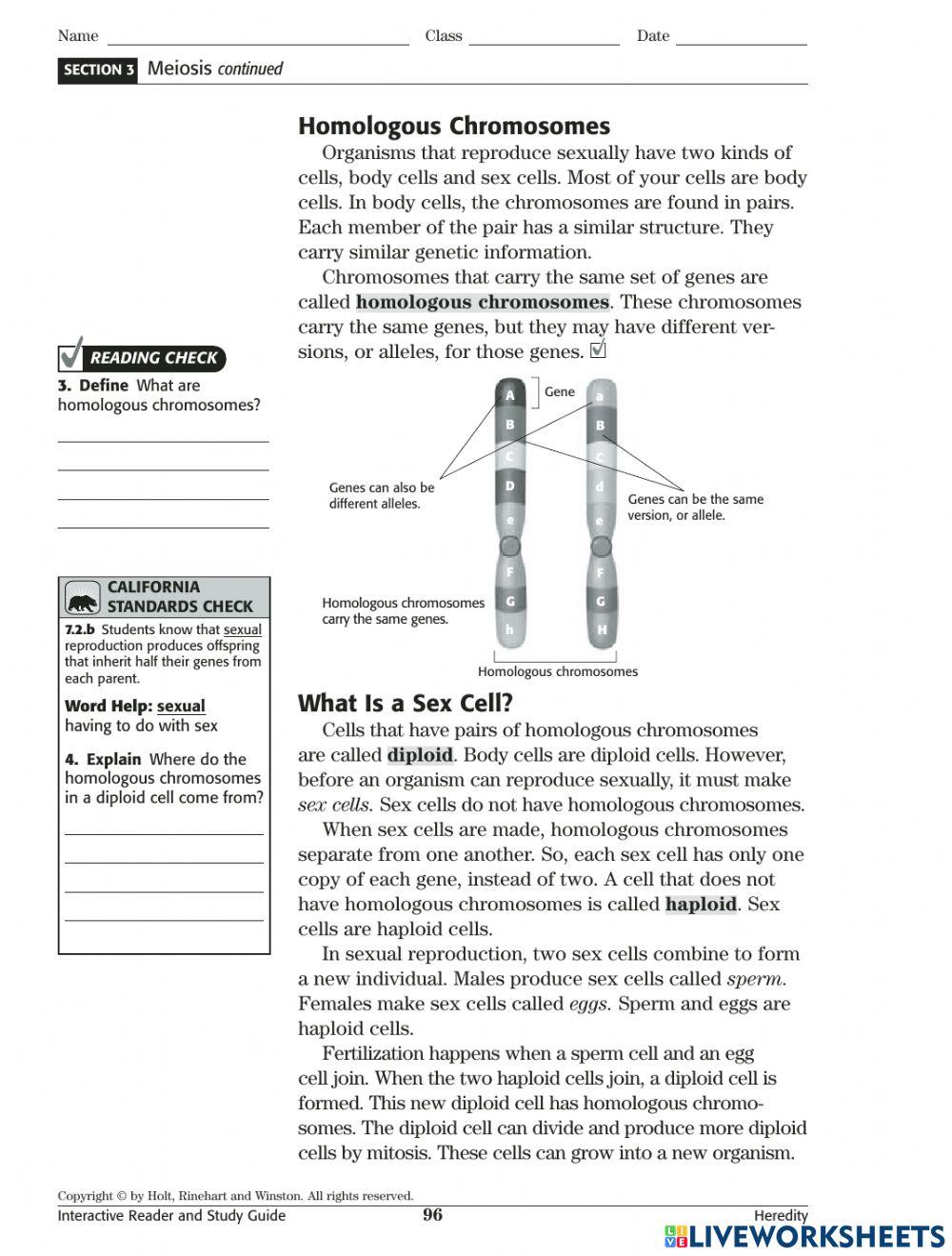 Meiosis Practice online exercise for Live Worksheets