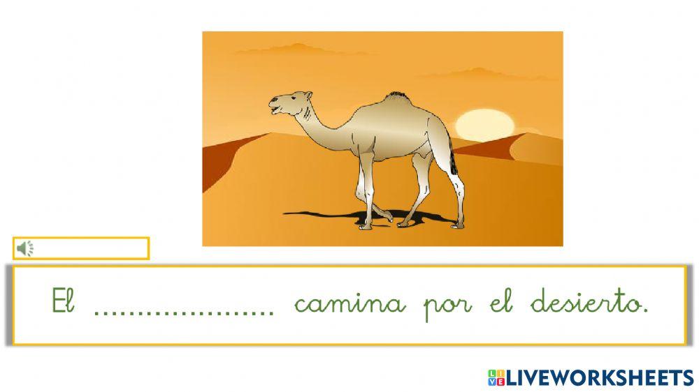 Completar oraciones sinfón dr