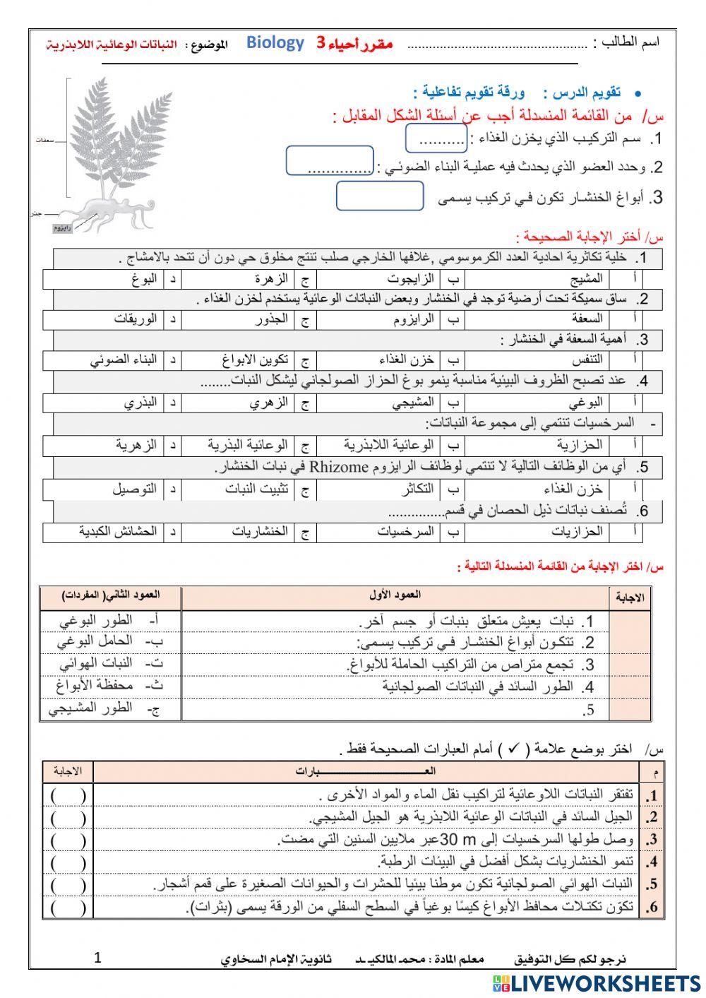 النباتات الوعائية اللابذرية