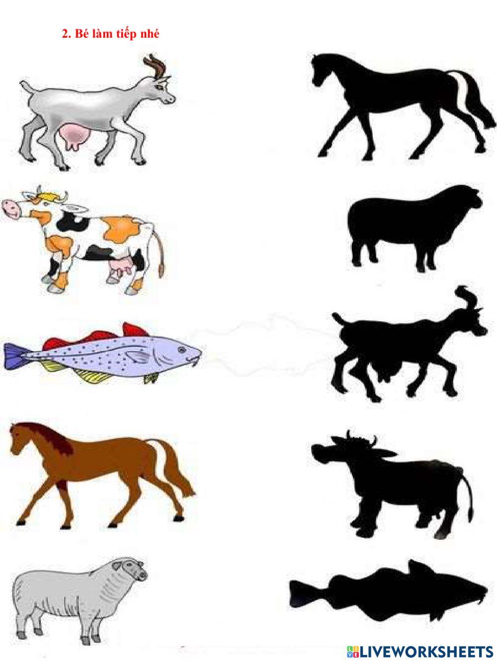 Khám phá khoa học