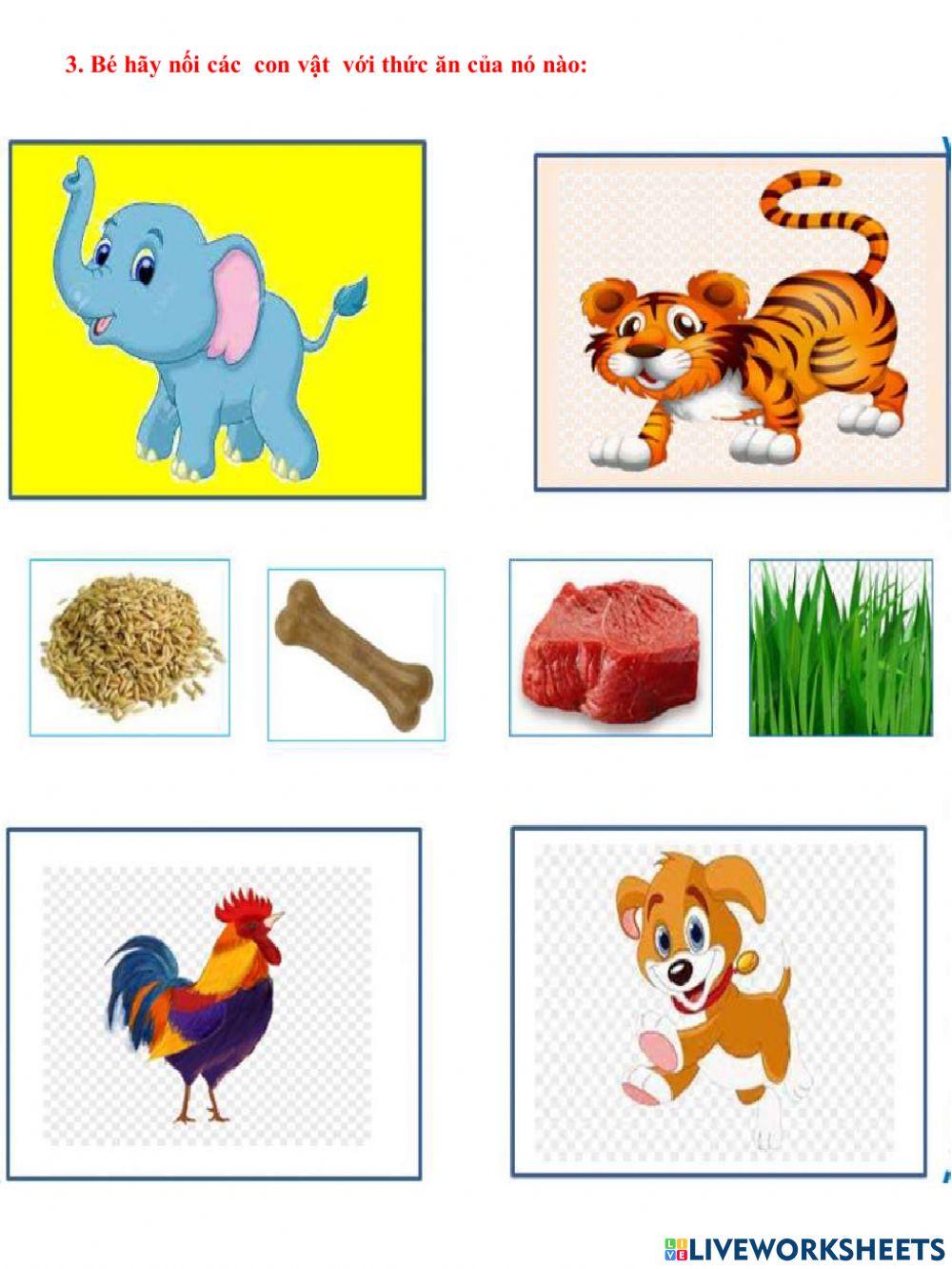 Khám phá khoa học