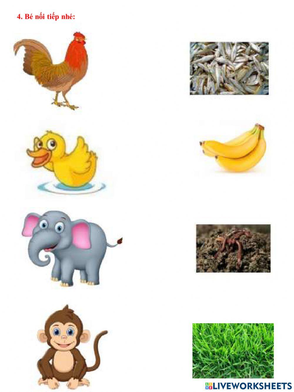 Khám phá khoa học