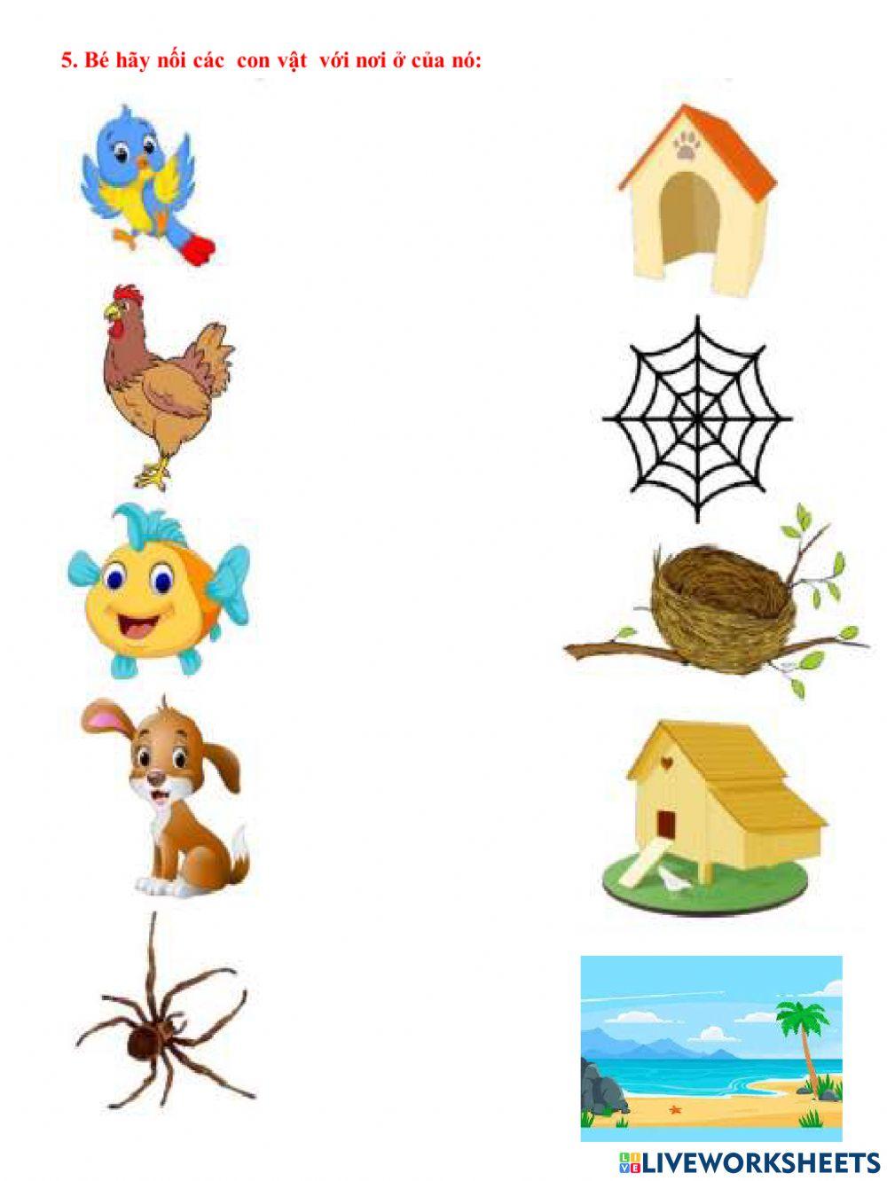 Khám phá khoa học