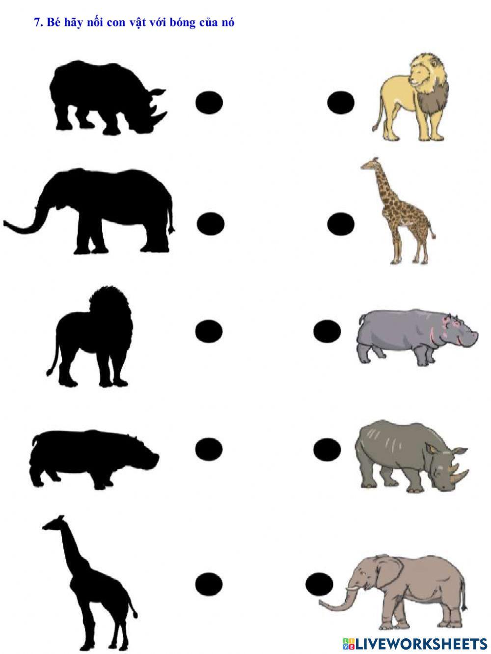 Khám phá khoa học