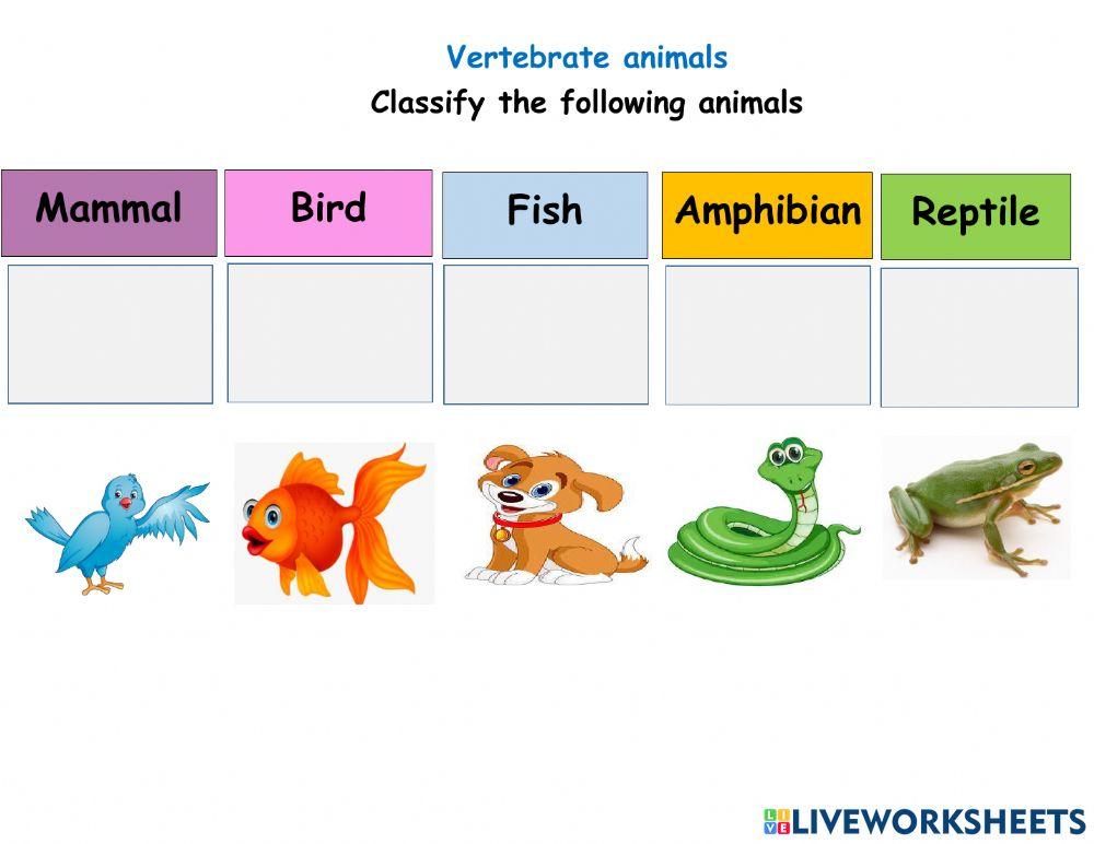 Vertebrates animals