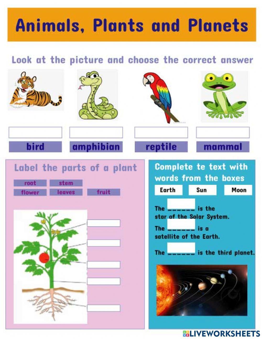 Animals Plants and Planets