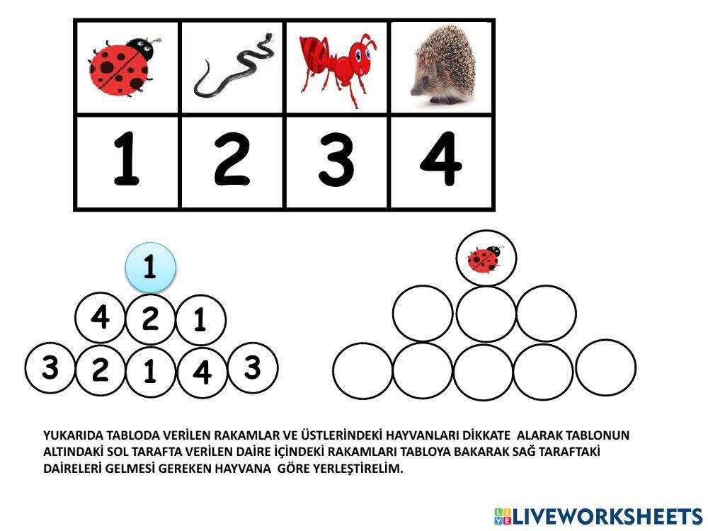 Toprak canlıları kodlama