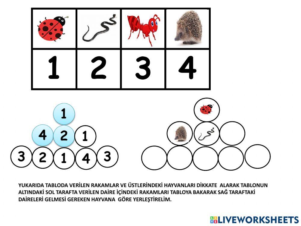 Toprak canlıları kodlama