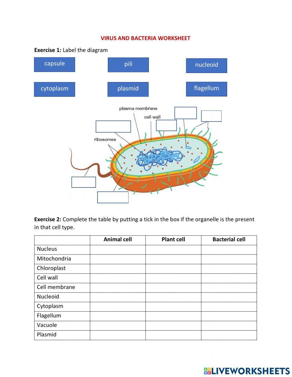 Viruses and bacteria worksheet | Live Worksheets viruses-and-bacteria-worksheet-live-worksheets