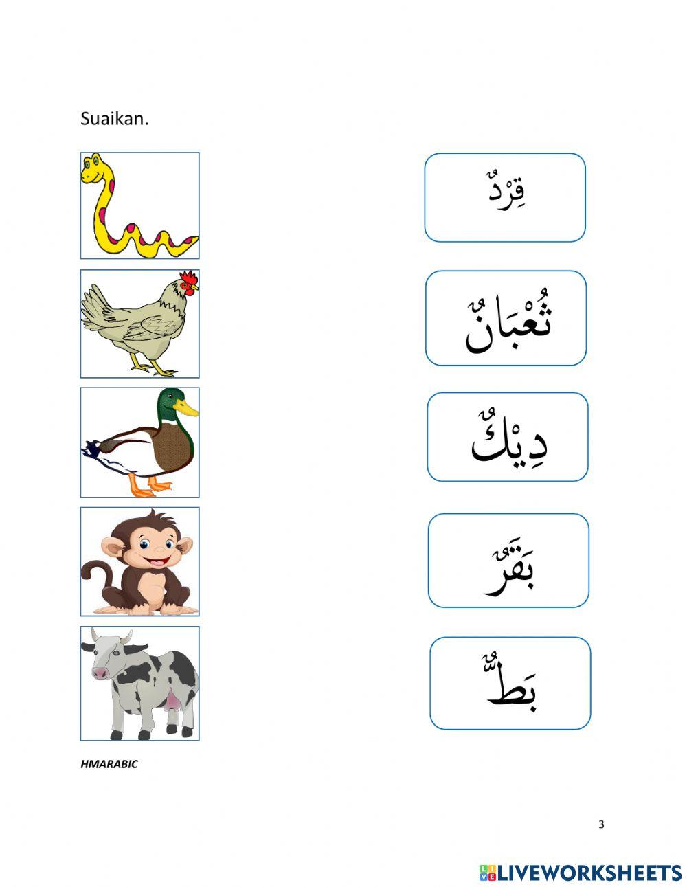 Haiwan dalam bahasa arab