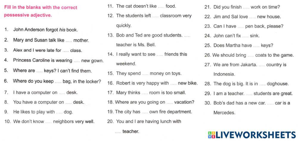 Sm sd4 english possessive adjective 2