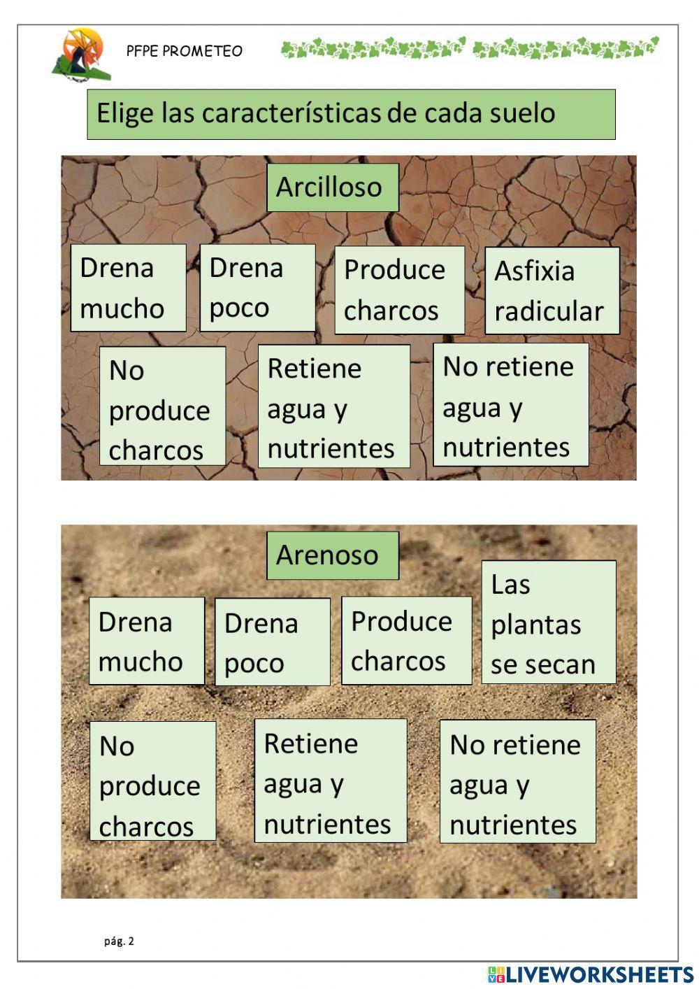 El agua en el suelo 1