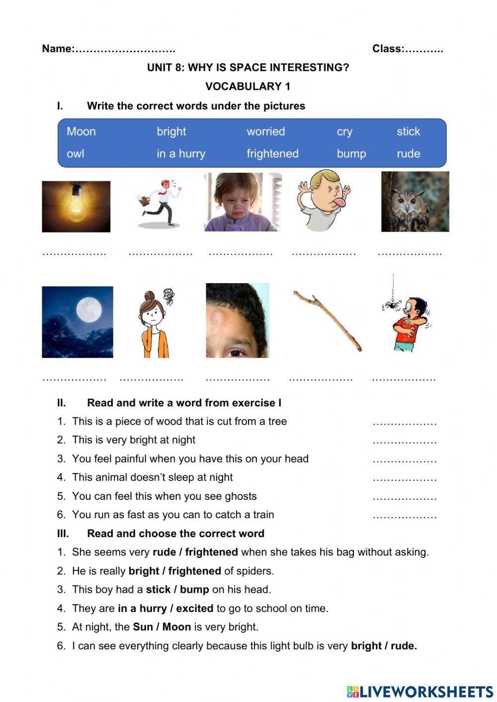 Unit 8 - Vocabulary 1