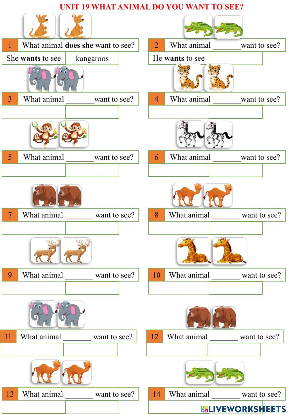 Unit 19 what animal do you want to see?