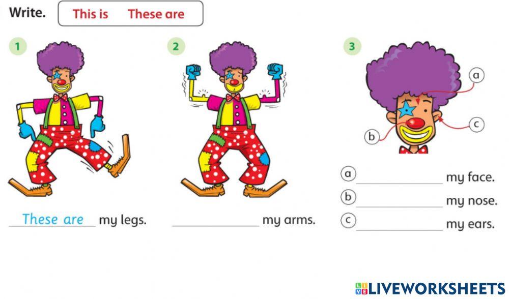 Body parts This is-These are