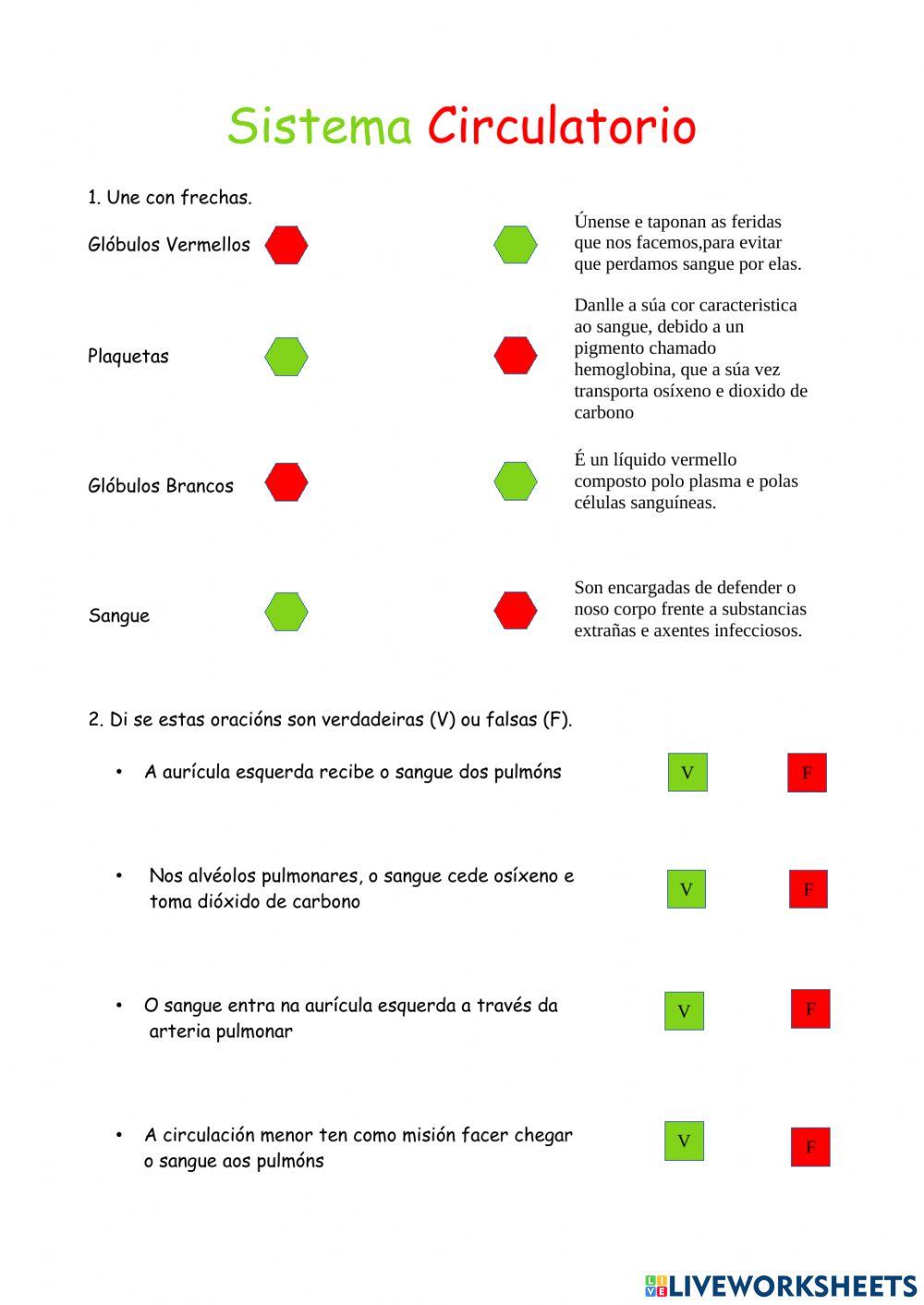 Sistema Circulatorio