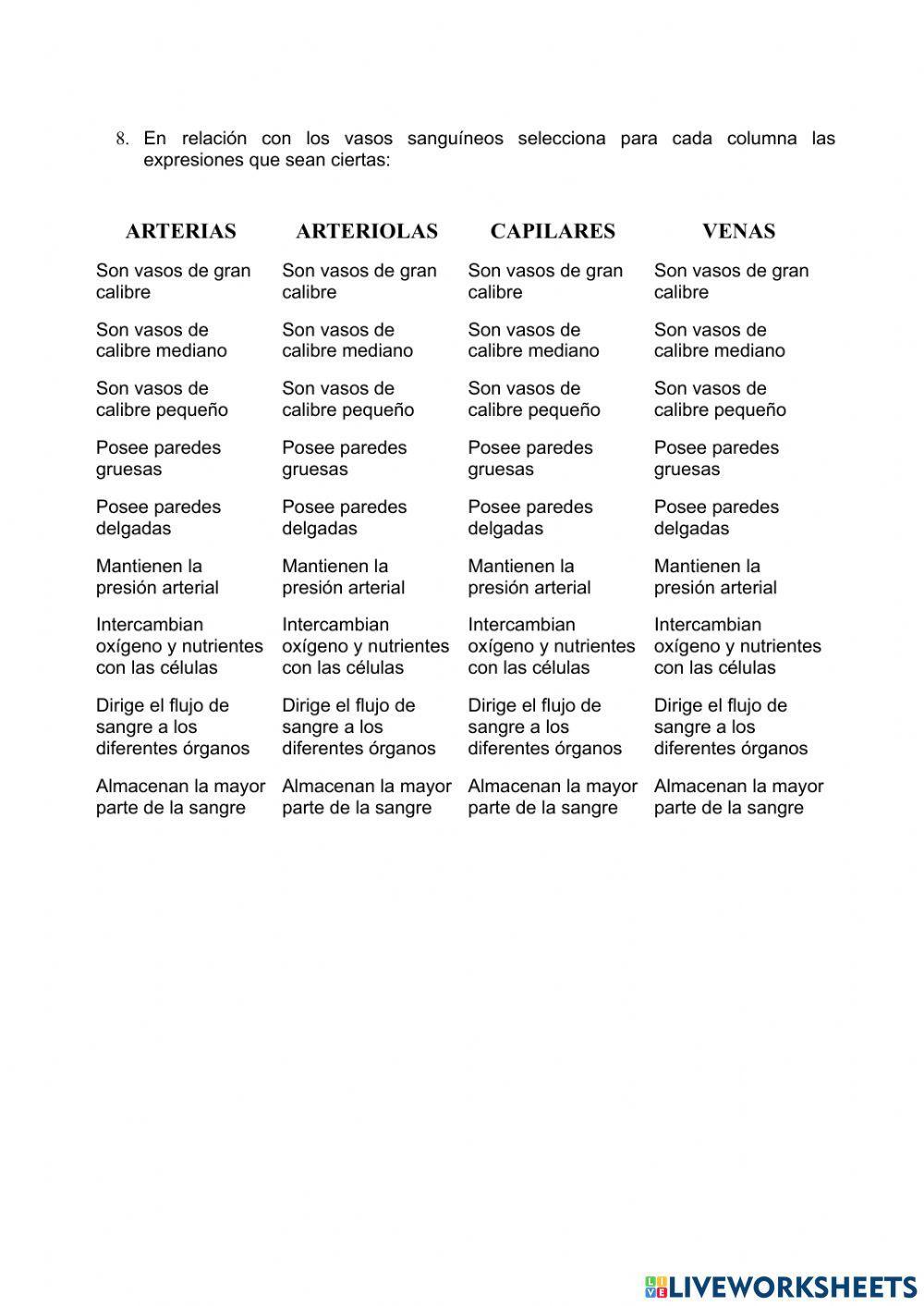 Anatomía y fisiología del corazón. Ciclo cardíaco