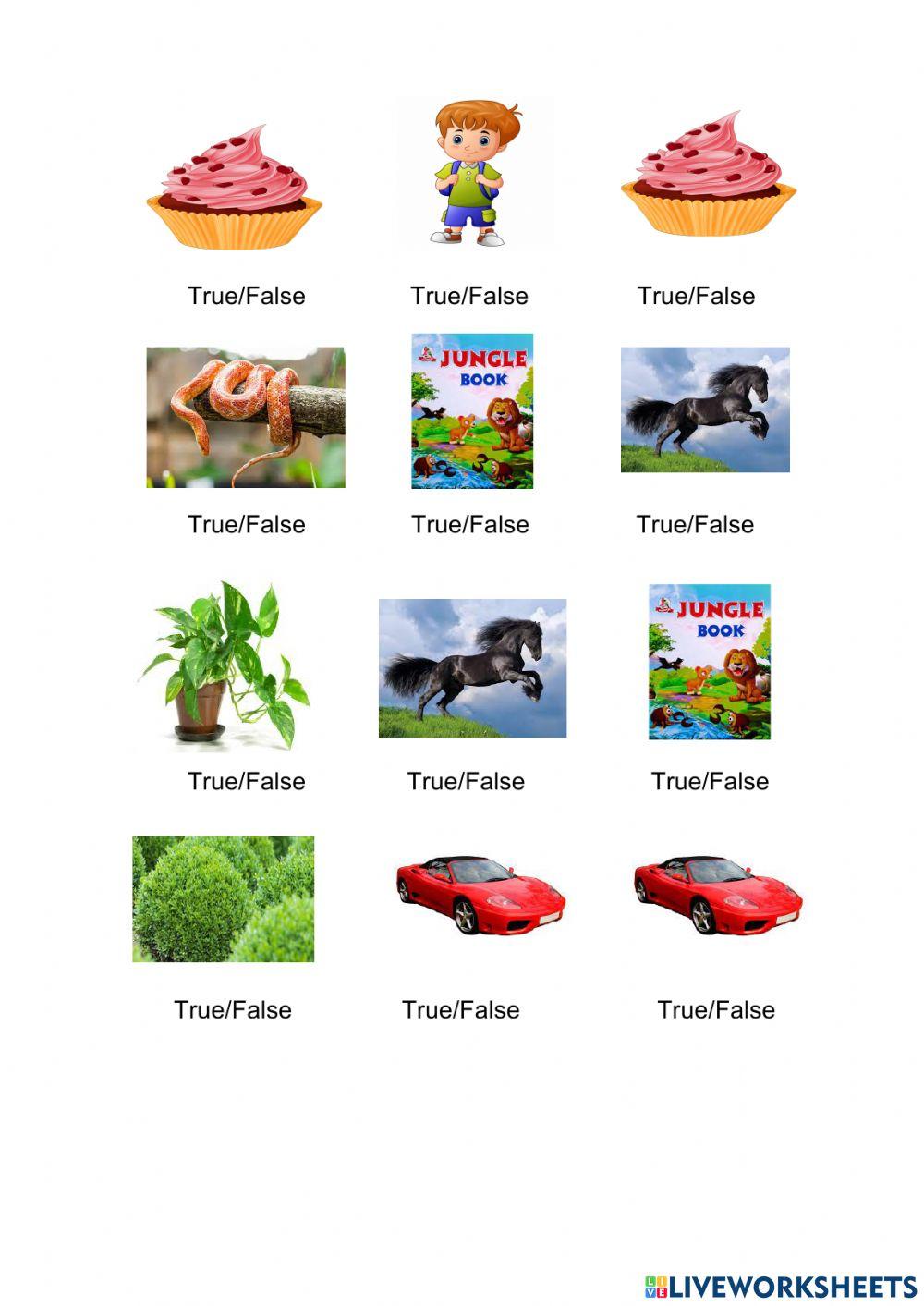 Living or Non-living things 1º Living or Non-living things 1º