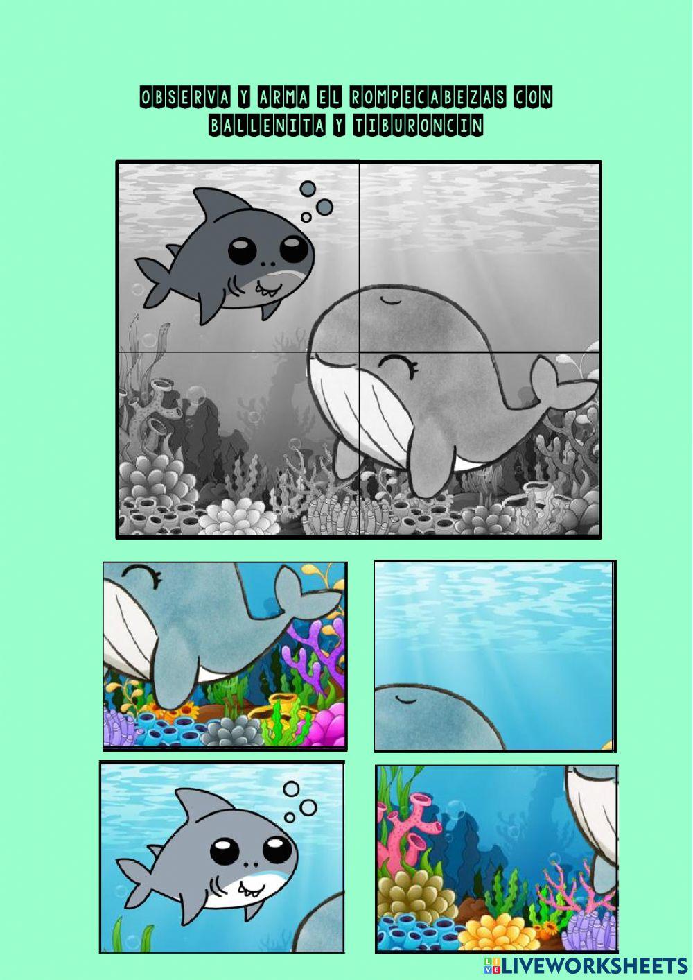 Tiburoncin y Ballenita