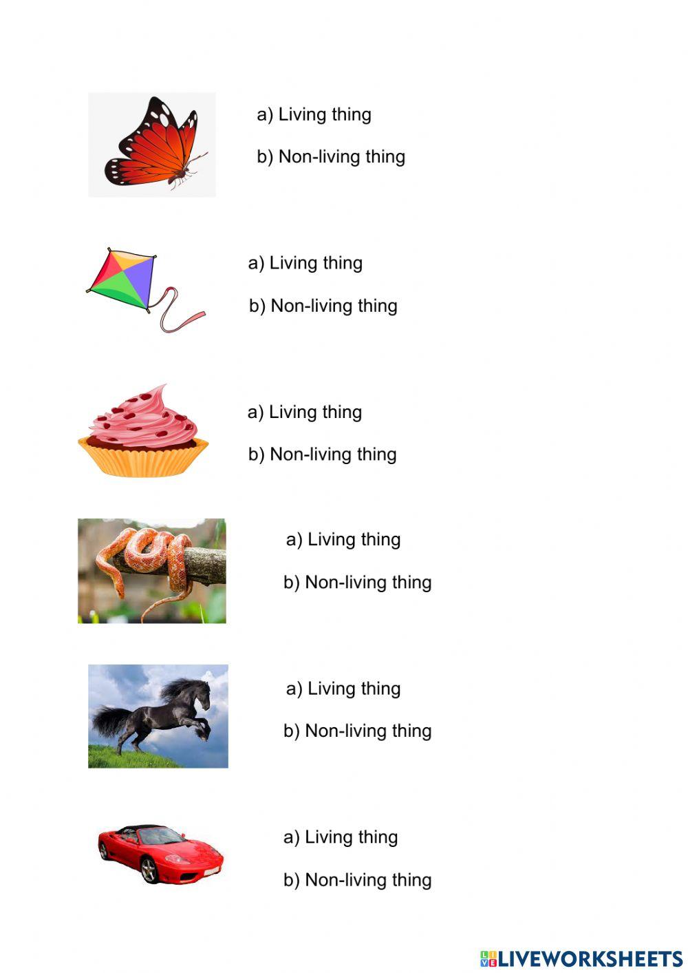 Living or Non-living things I 1º