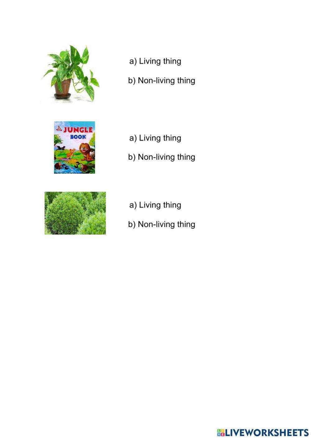 Living or Non-living things I 1º