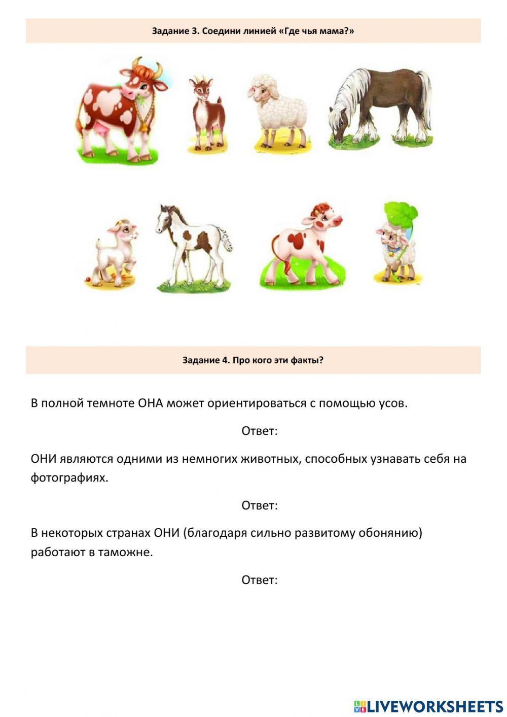 Домашние животные