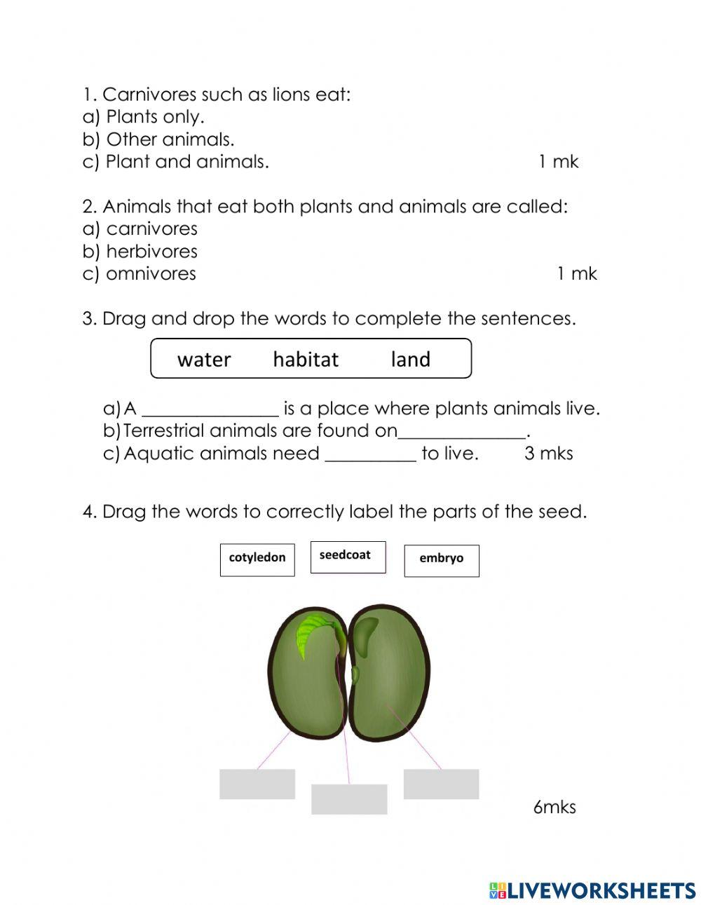 Second Yr Term Two Science