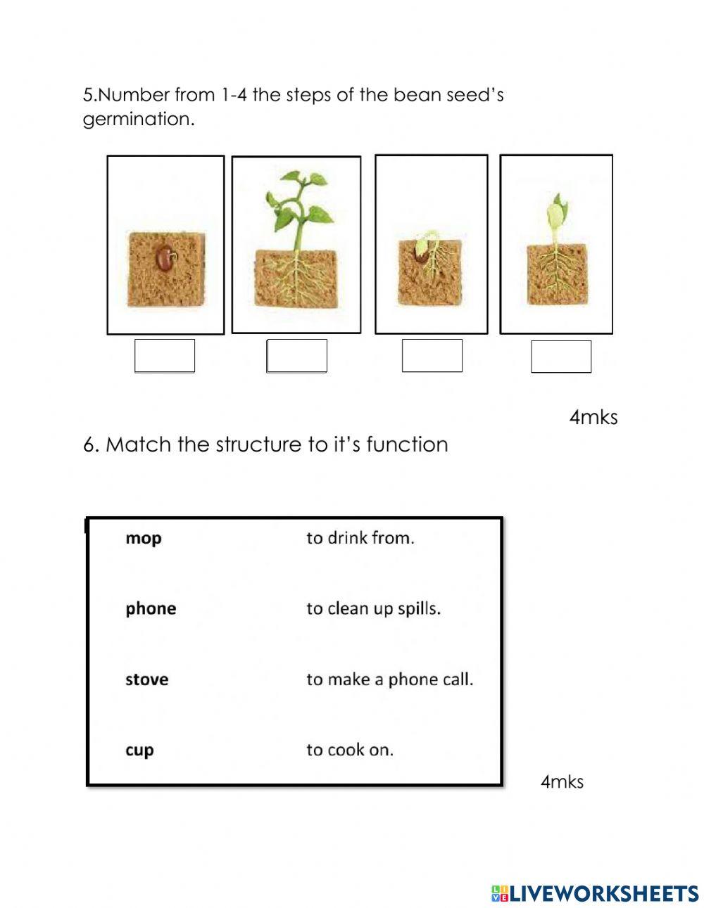 Second Yr Term Two Science