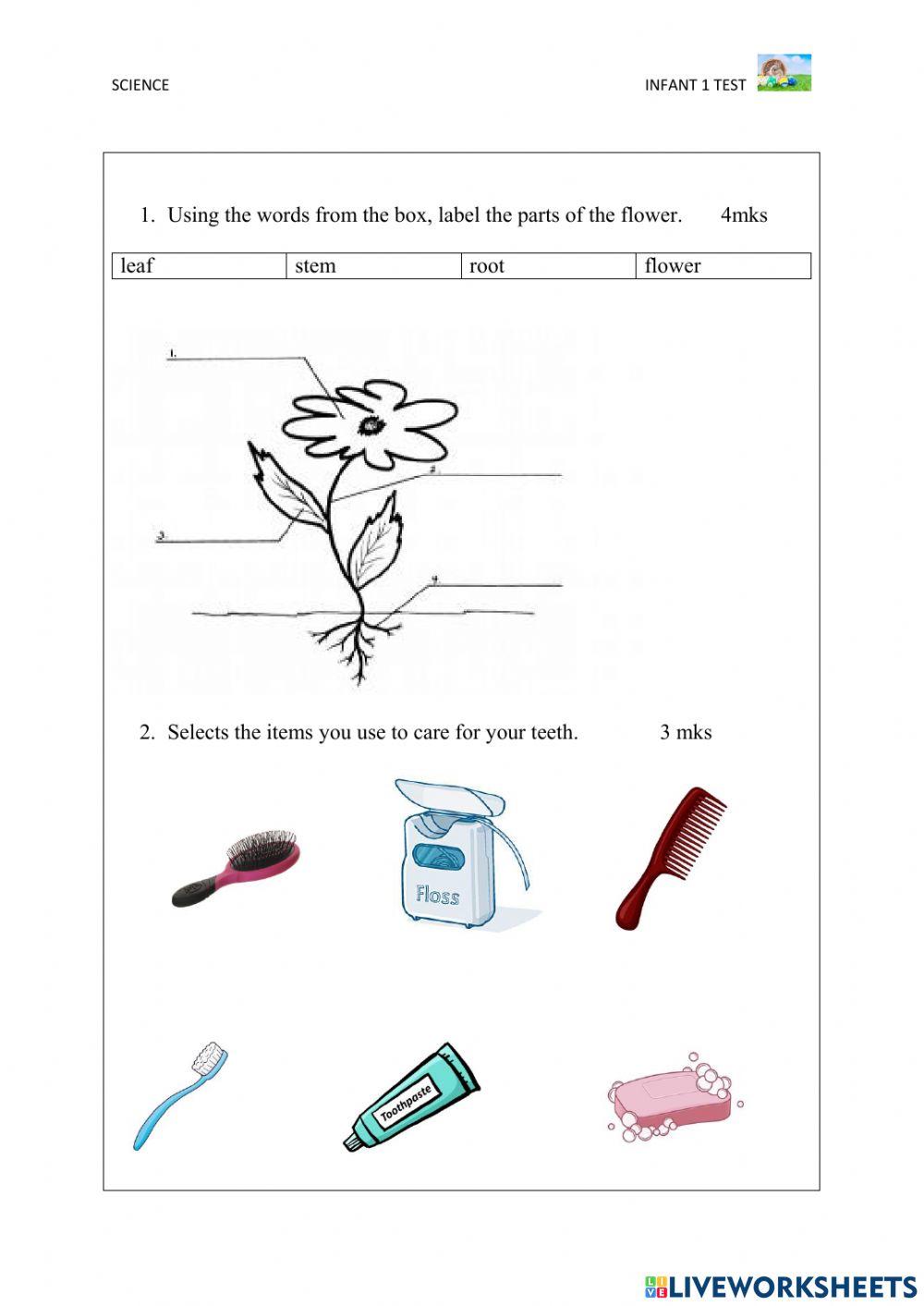 Dream Creatorz Academy