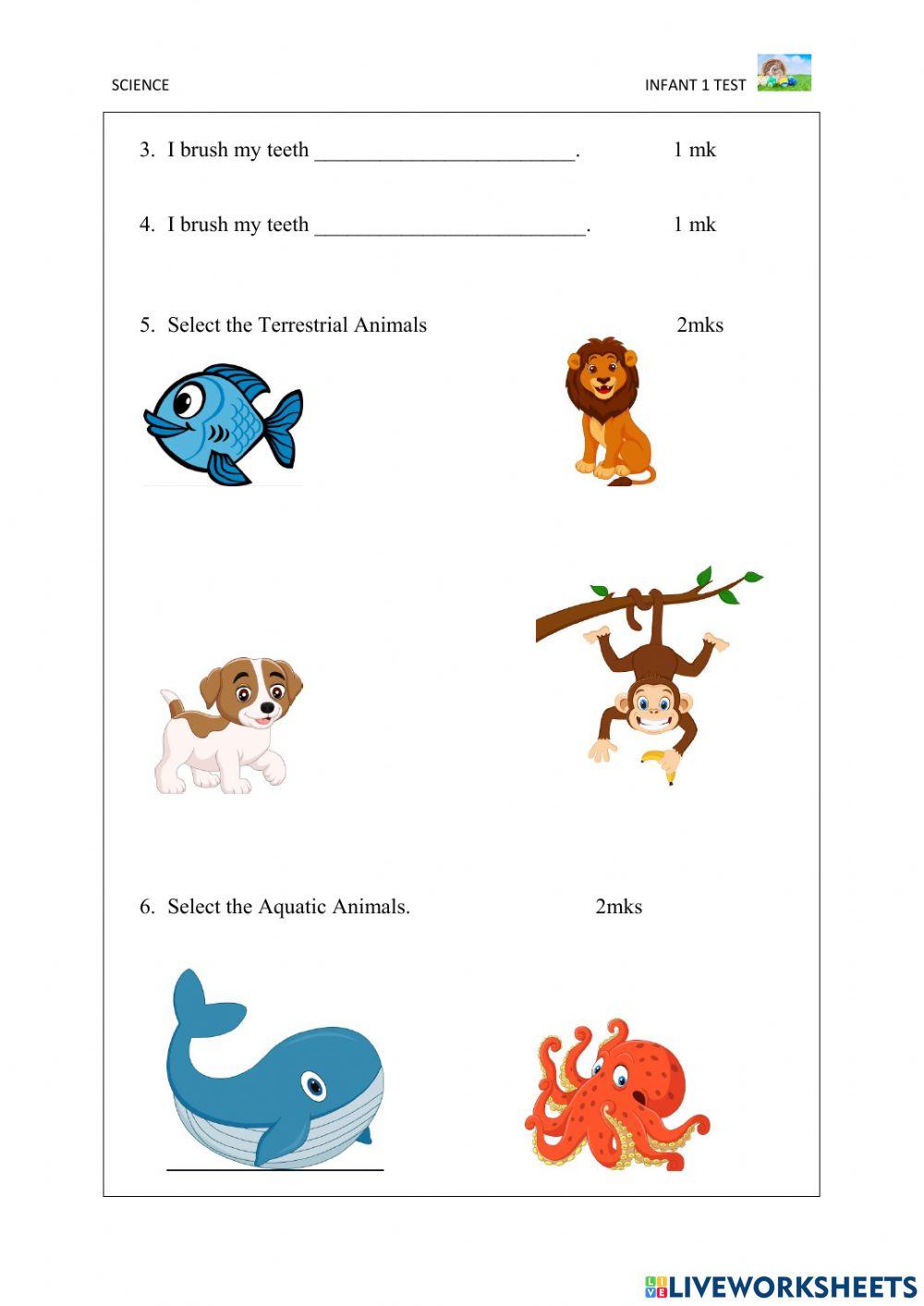 Dream Creatorz Academy