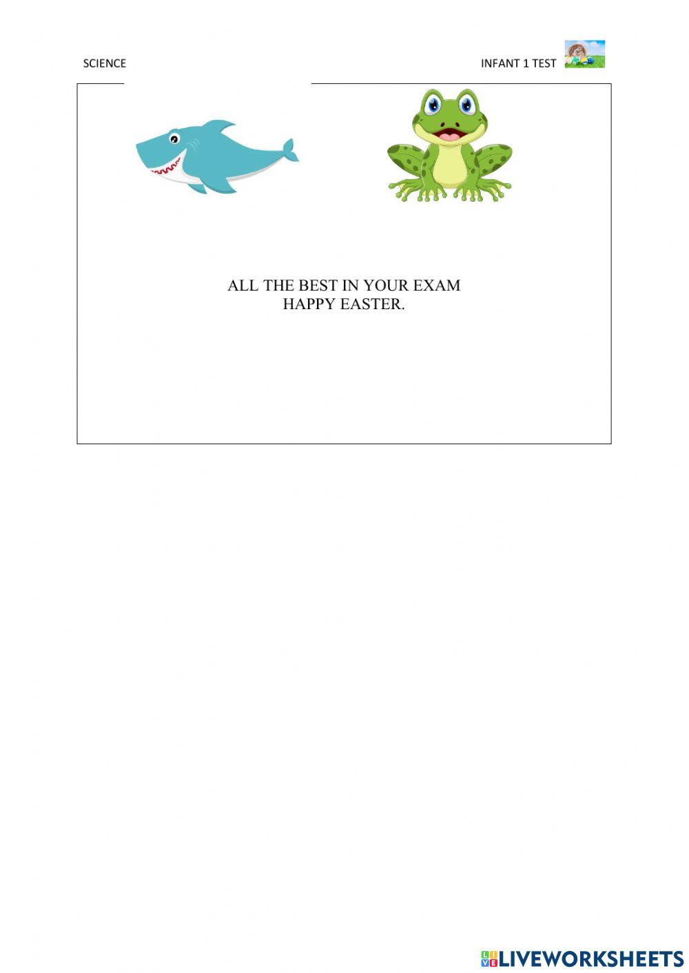 Dream Creatorz Academy