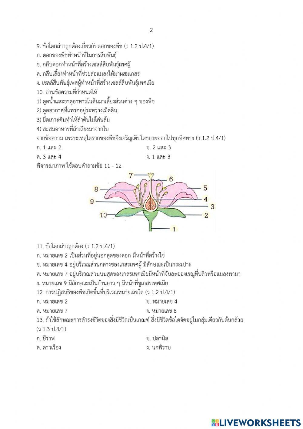 ข้อสอบปลายภาคเรียน วิทยาศาสตร์ ป.4