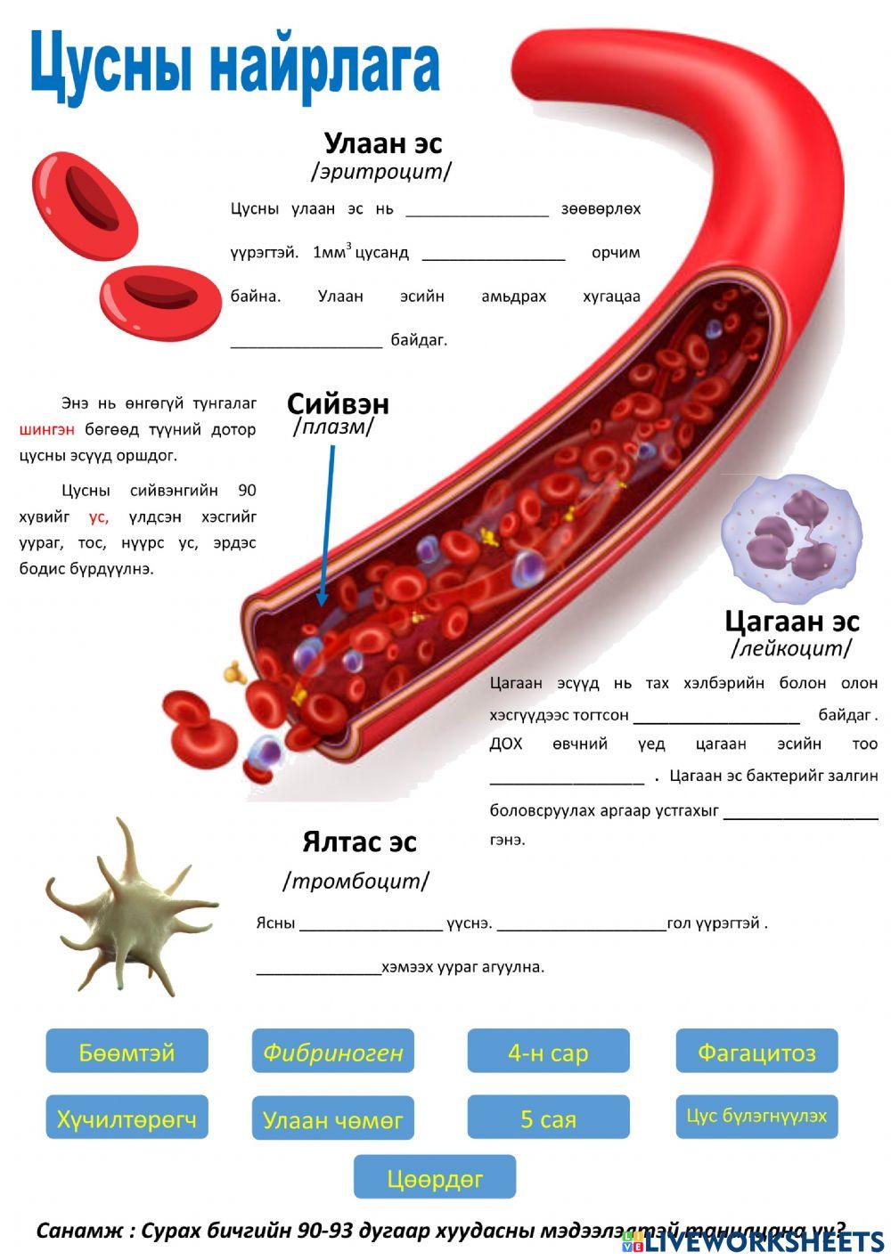 Амьтны зөөвөрлөлт