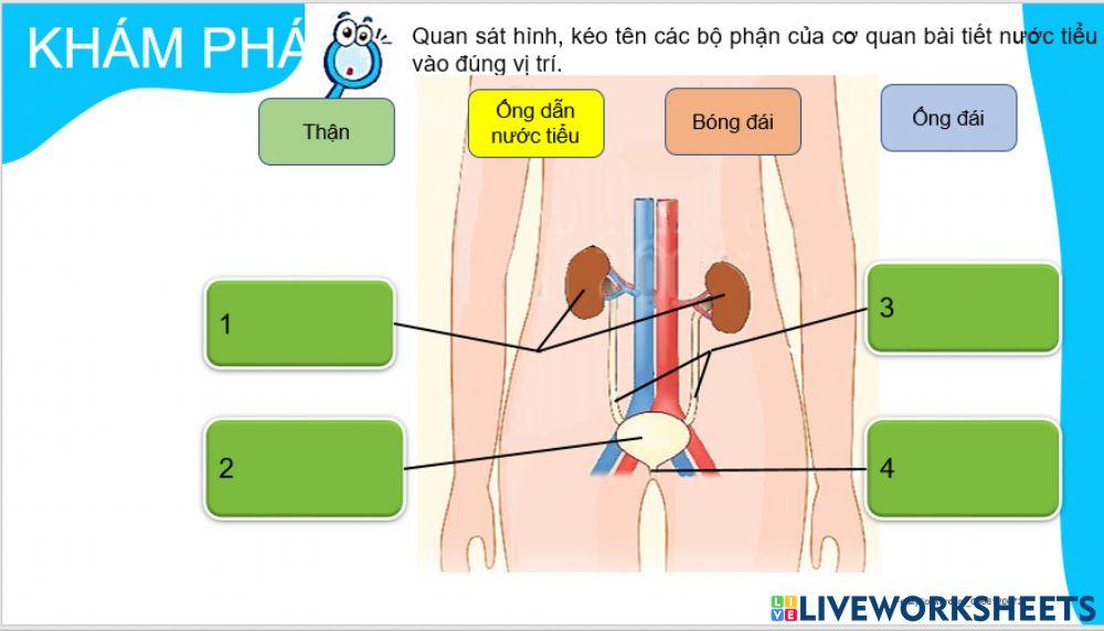 Tự nhiên và xã hội