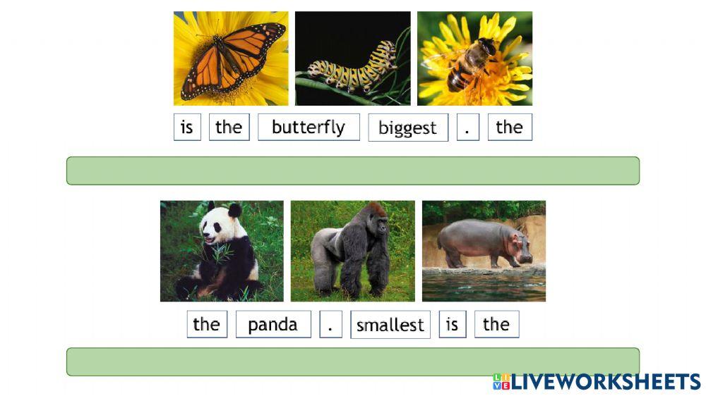 English zone gt  - everybody up 4