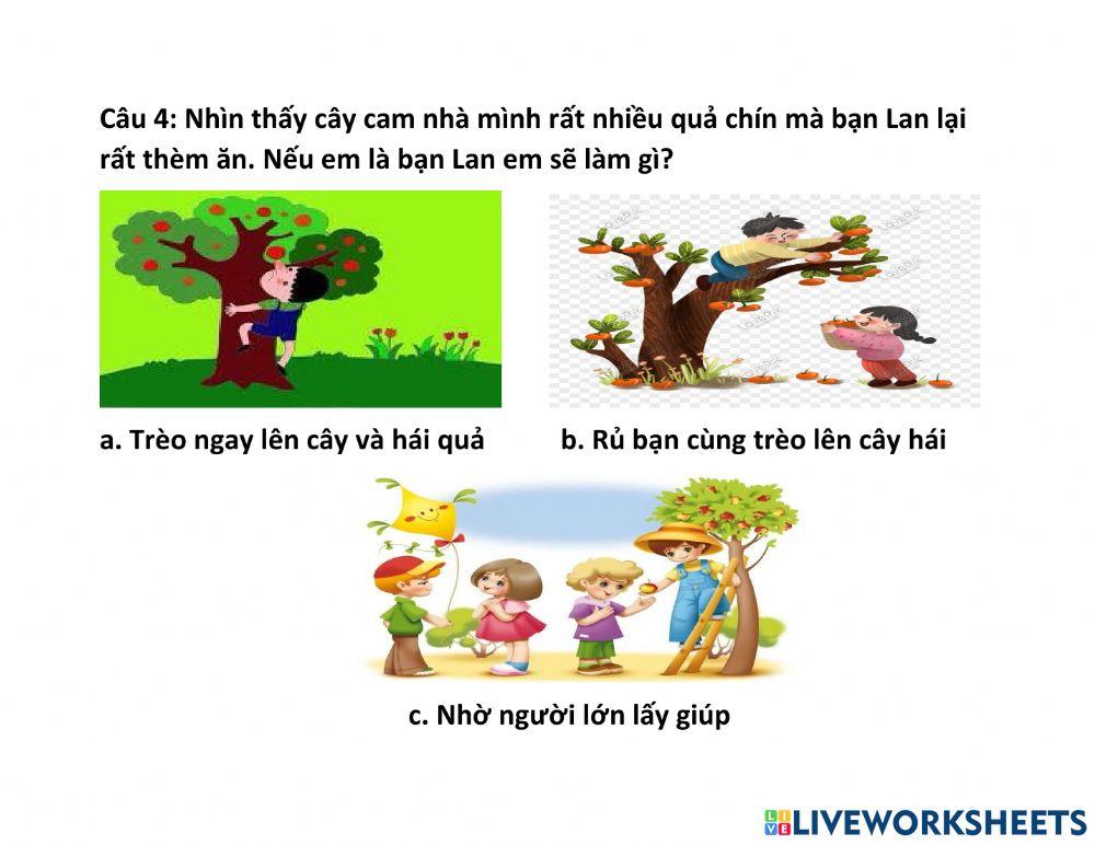 Kỹ năng an toàn trong sinh hoạt