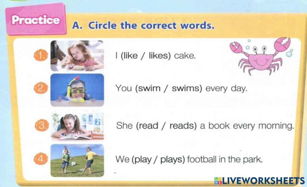 Circle the correct words.