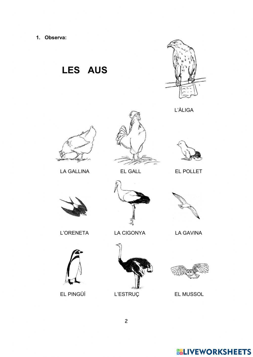 COMENCEM .Els animals الحيوانات COMENCEM .Els animals الحيوانات