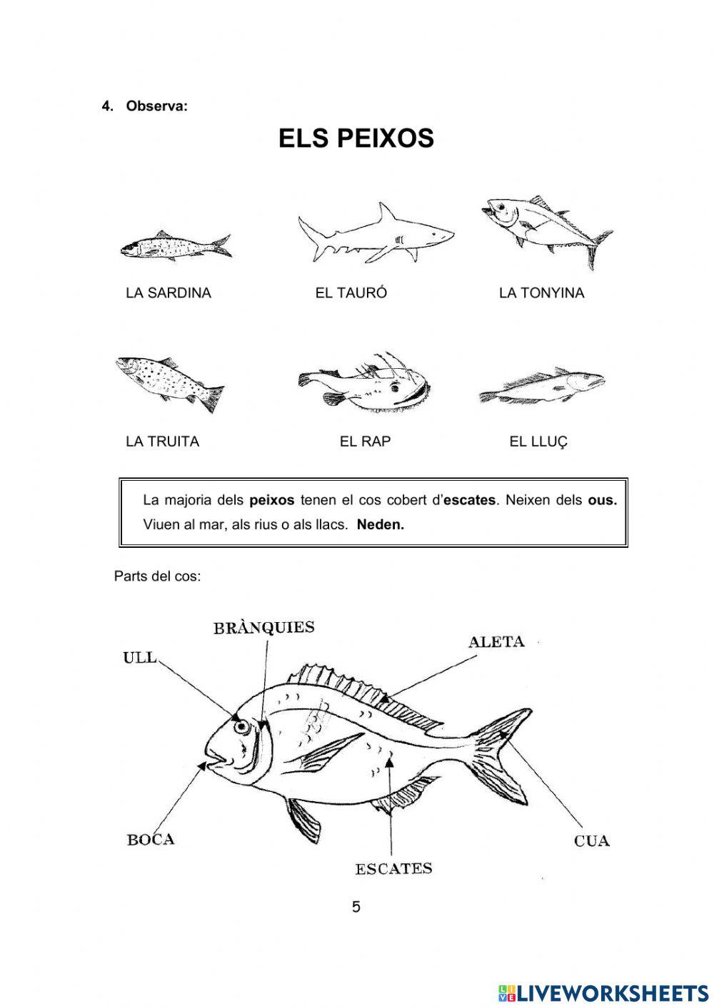 COMENCEM .Els animals الحيوانات COMENCEM .Els animals الحيوانات