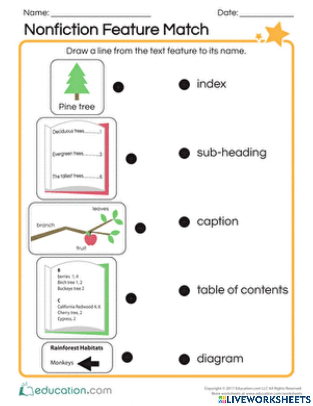 Non Fiction Text Features online exercise for Live Worksheets
