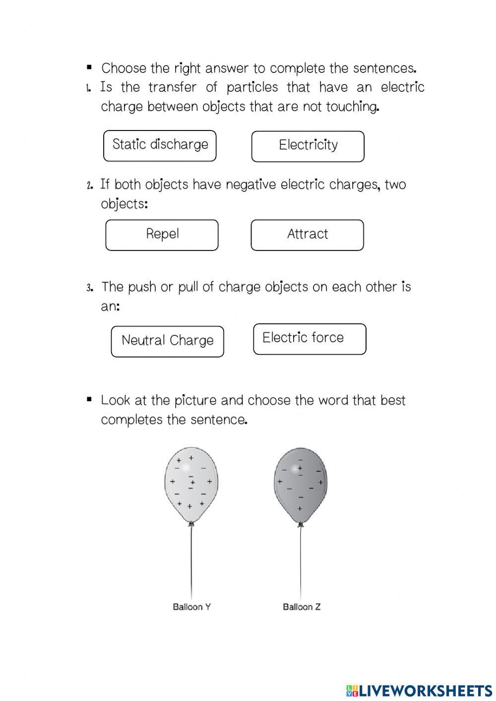 Science Evaluation 3rd Bimester